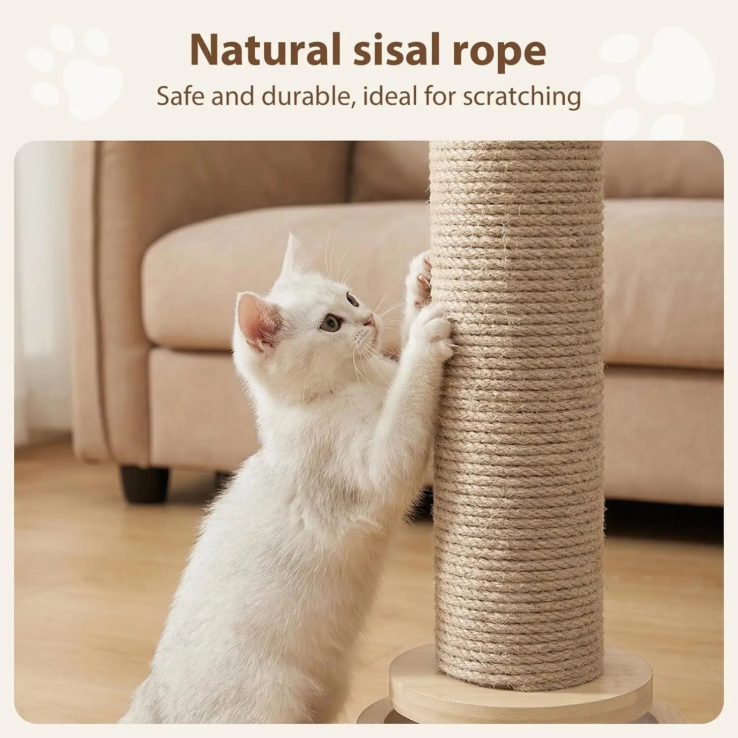 Cat Scratcher