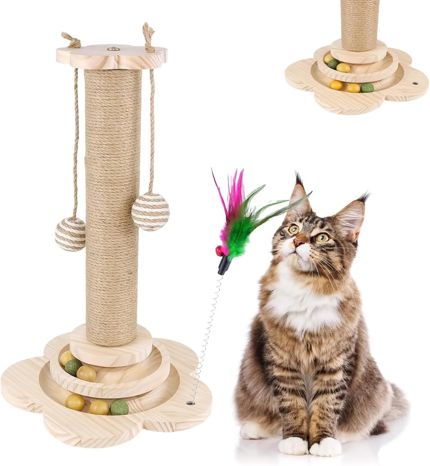Cat Scratcher