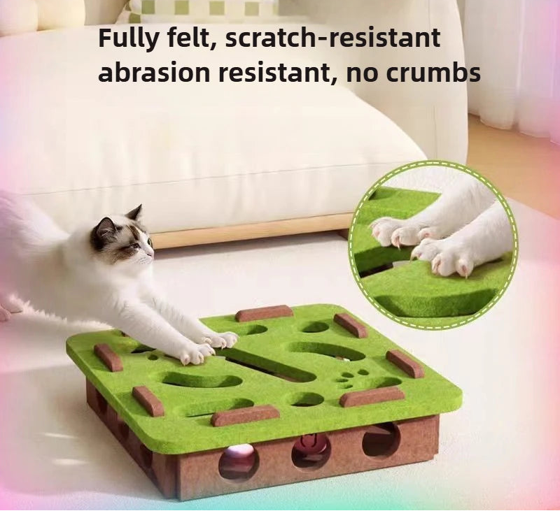 Interactive Cat Game