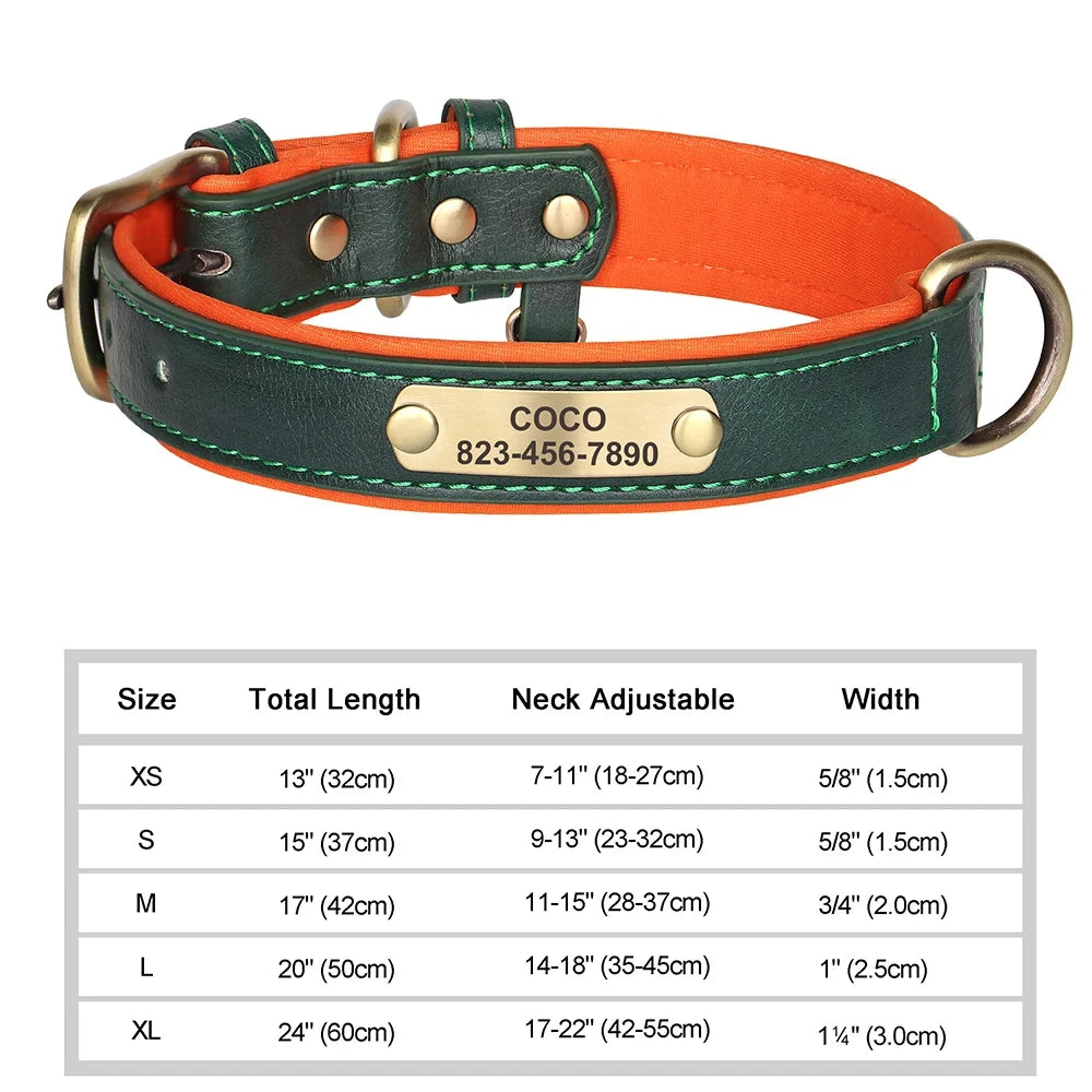 Personalised Leather Collar with ID Tag