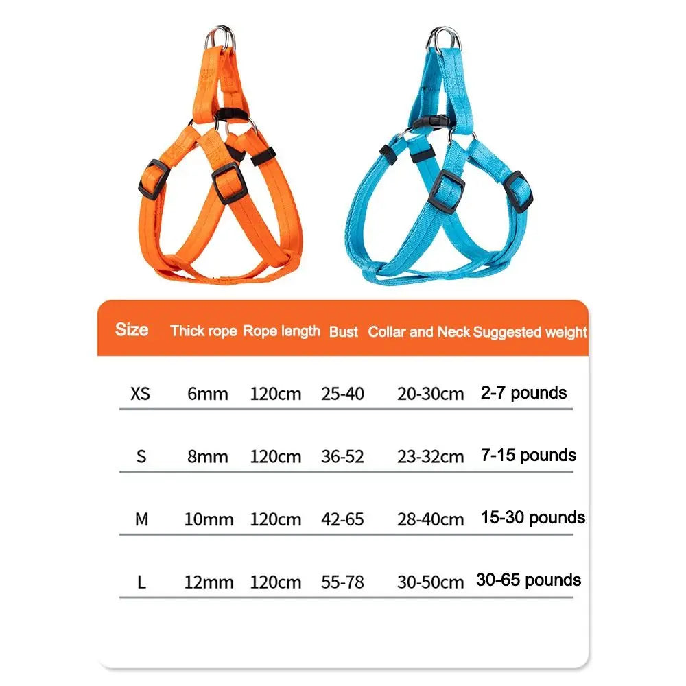Adjustable Dog Harness