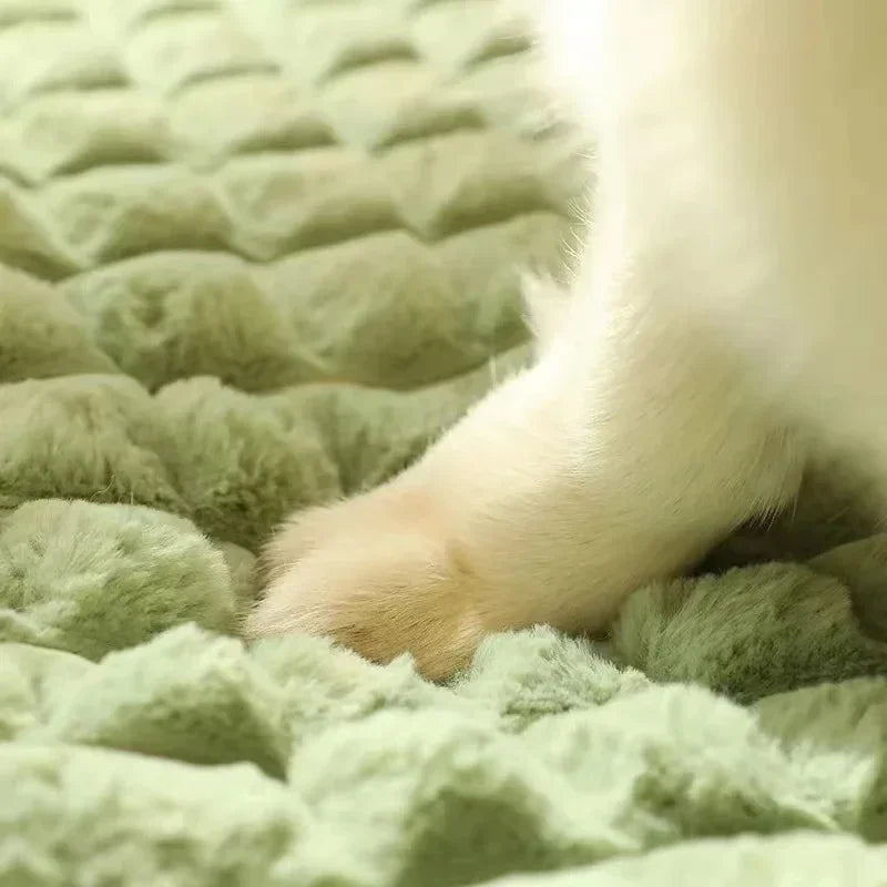 Orthopaedic Washable Dog Bed