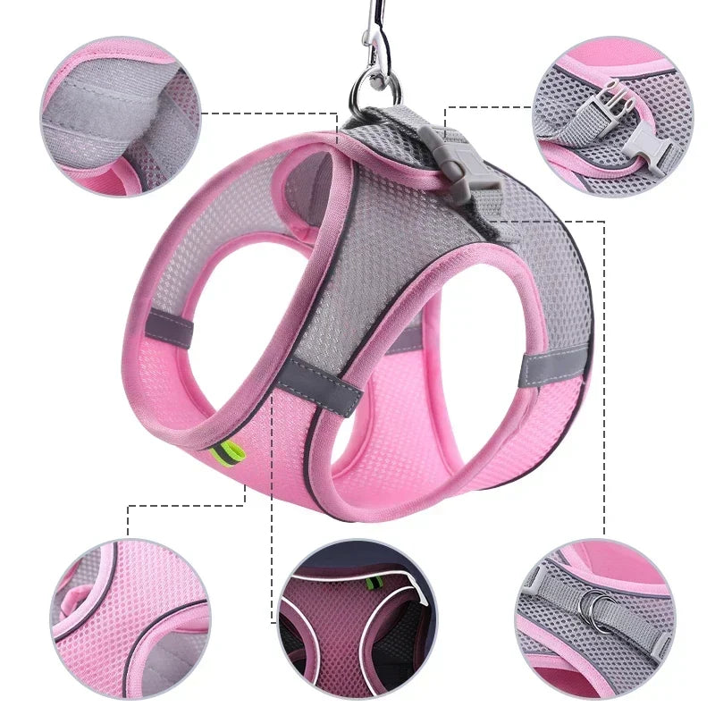 Small Dog Collar & Lead Set