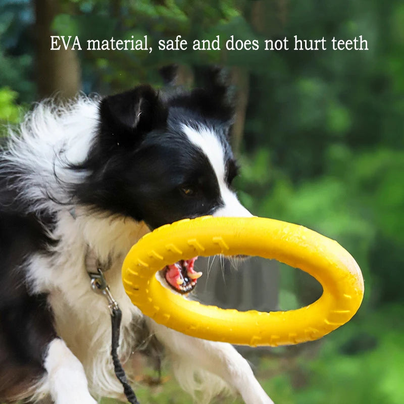 4-Piece Interactive Dog Toy Set