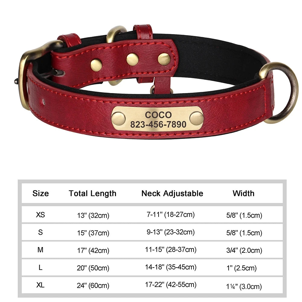 Personalised Leather Collar with ID Tag