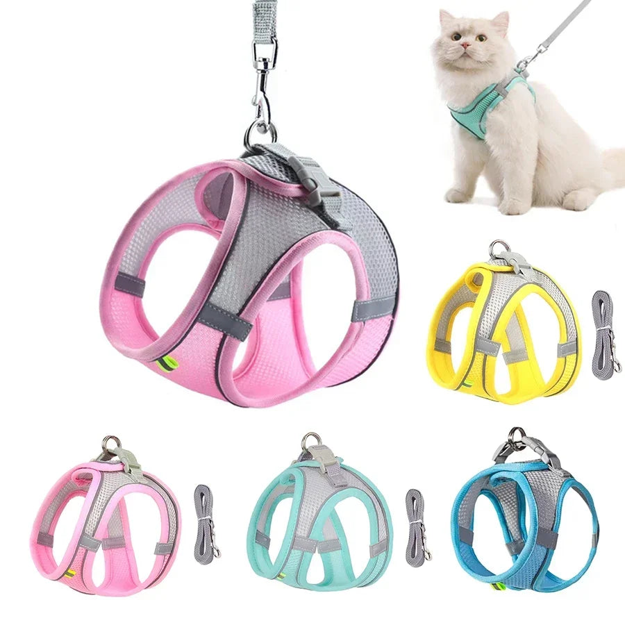 Small Dog Collar & Lead Set