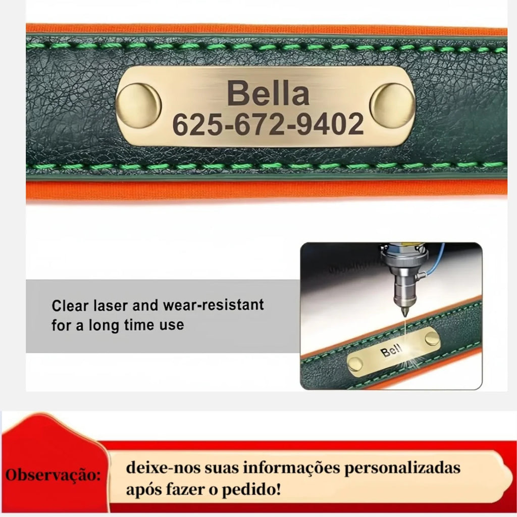 Personalised Leather Collar with ID Tag