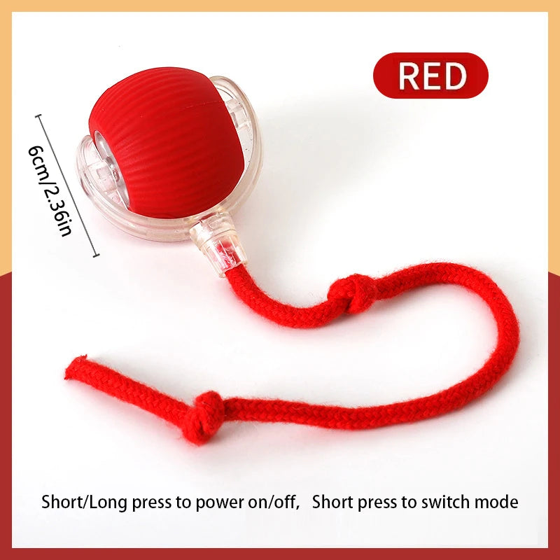 Interactive Electric Cat Ball