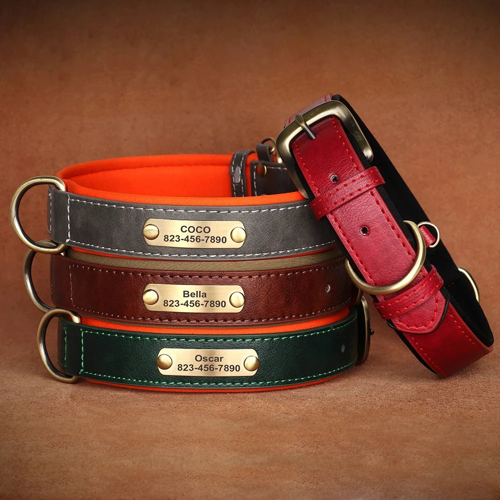 Personalised Leather Collar with ID Tag