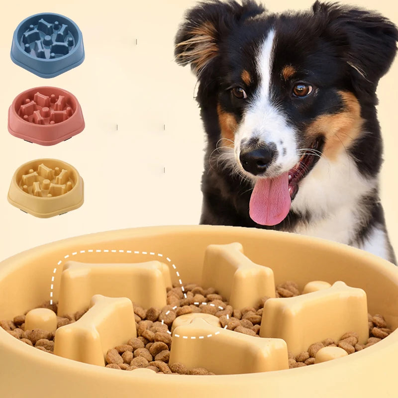 Slow Feeder Bowl