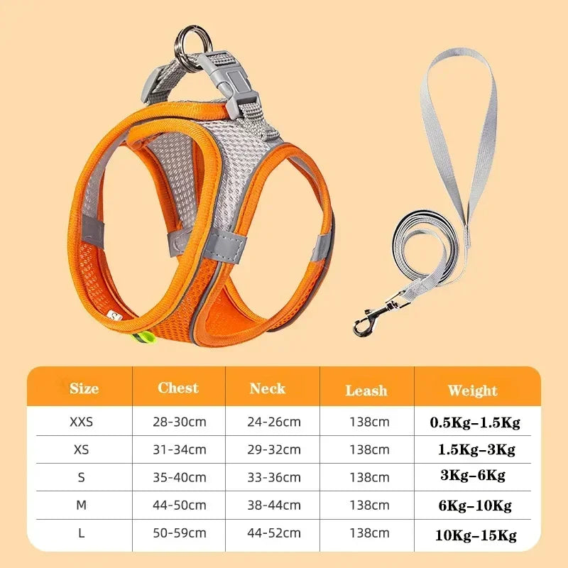 Small Dog Collar & Lead Set