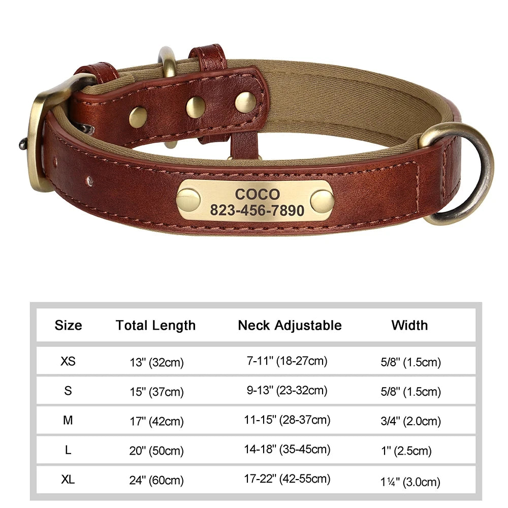 Personalised Leather Collar with ID Tag