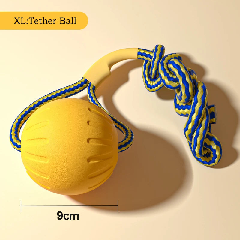 4-Piece Interactive Dog Toy Set
