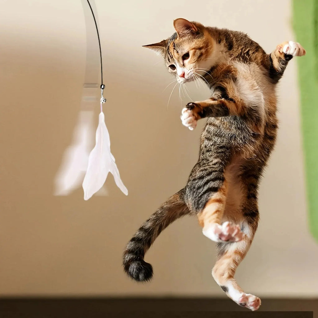 Interactive Cat Wand Toy with Bell & Feather