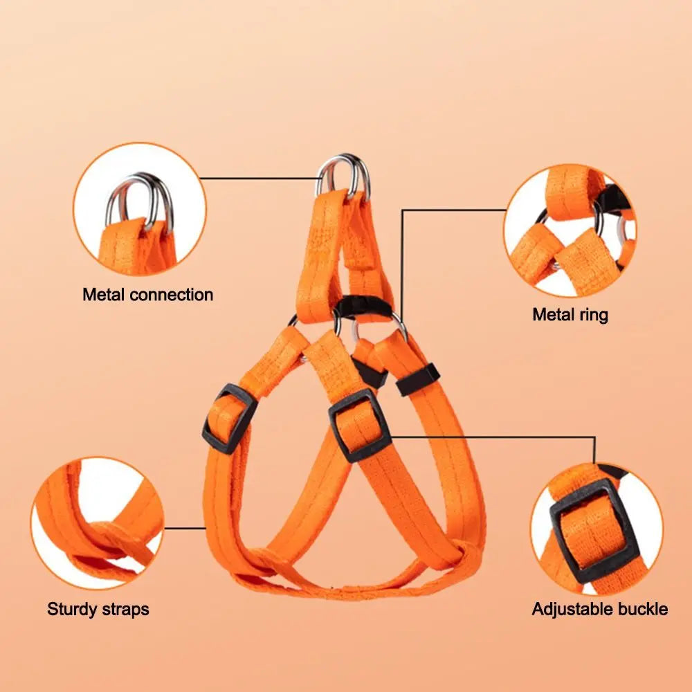 Adjustable Dog Harness