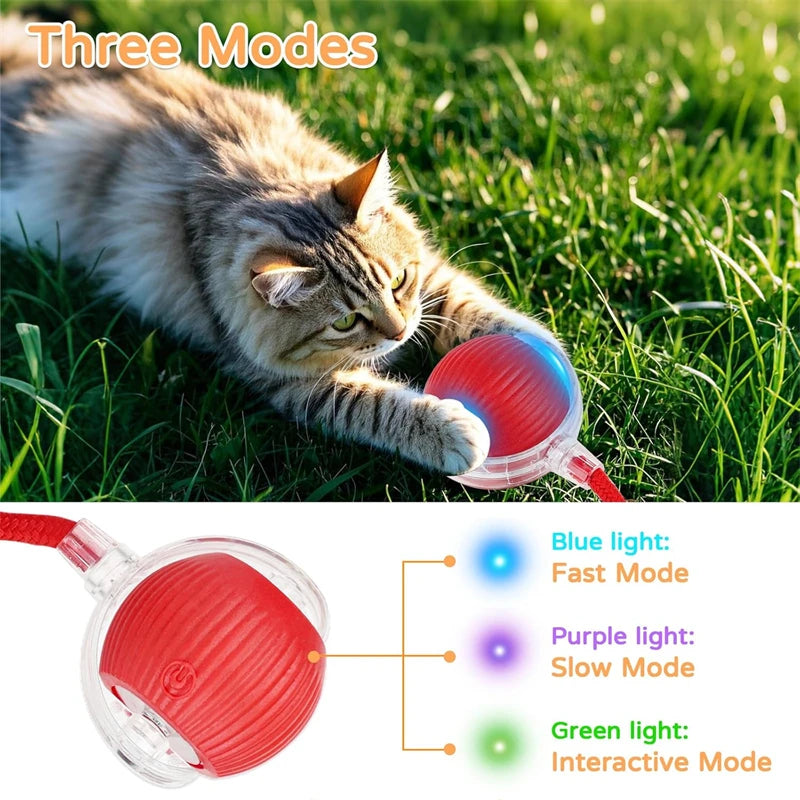 Interactive Electric Cat Ball