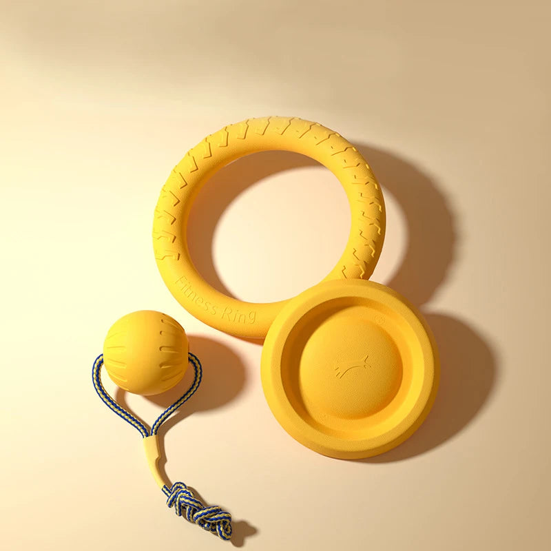 4-Piece Interactive Dog Toy Set