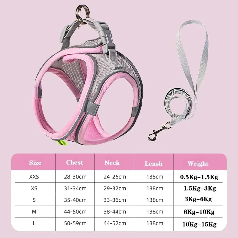 Small Dog Collar & Lead Set