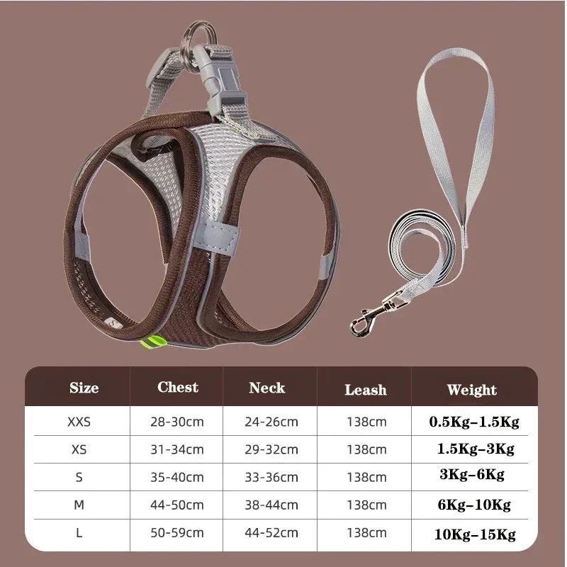 Small Dog Collar & Lead Set