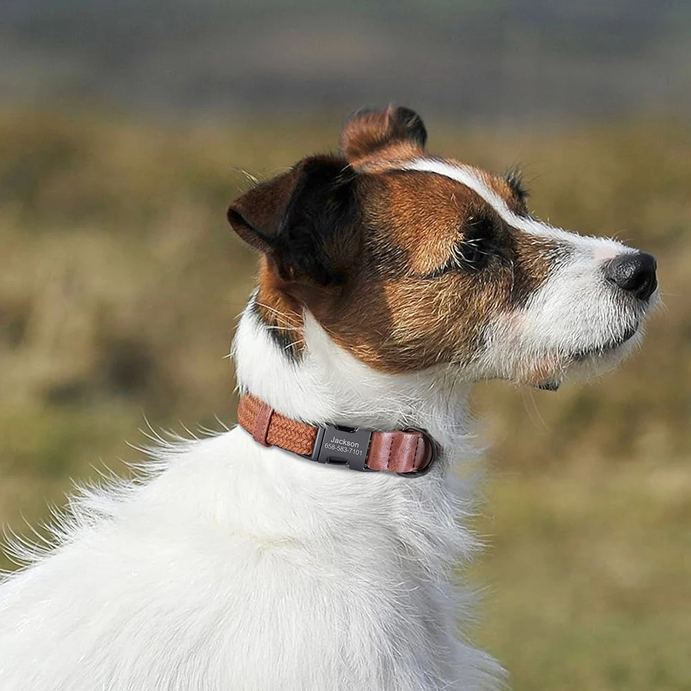 Personalised Nylon Dog Collar
