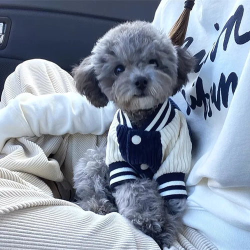 Embroidered Baseball Jacket for Pets