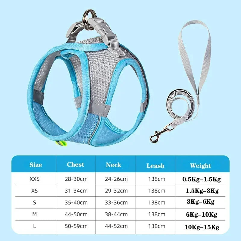 Small Dog Collar & Lead Set