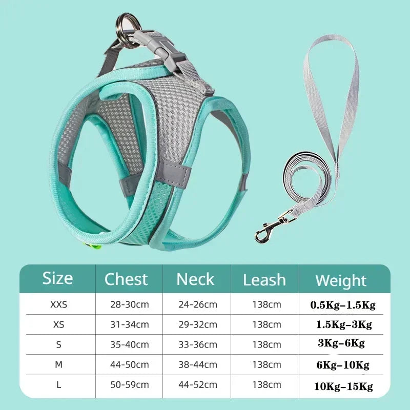 Small Dog Collar & Lead Set