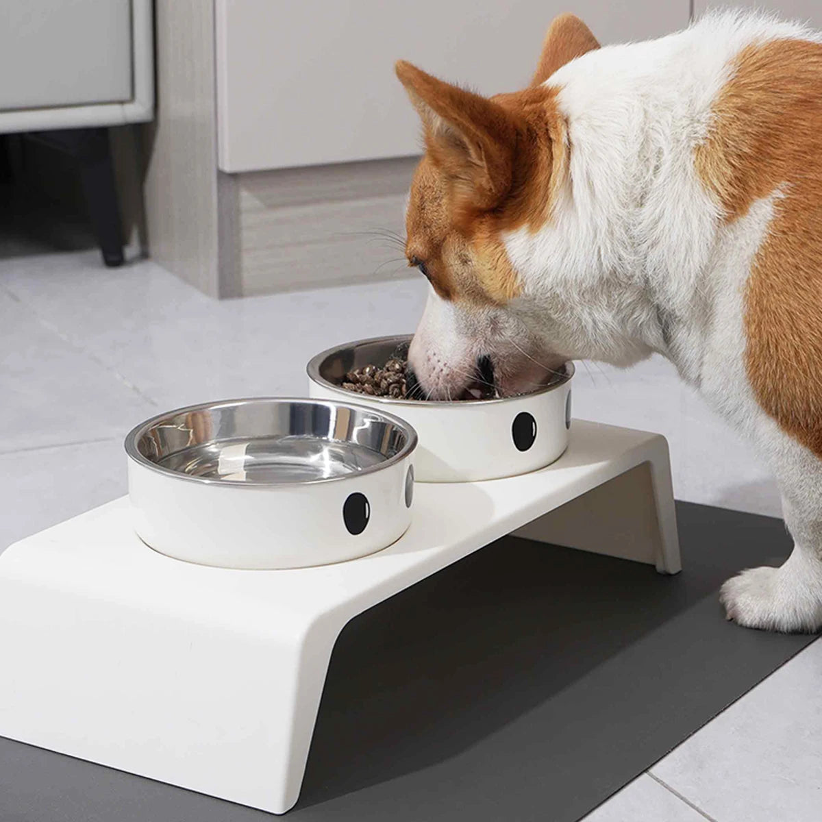Raised Pet Food & Water Bowl Stand