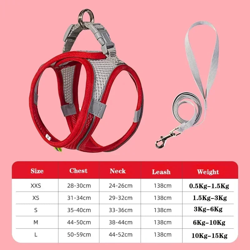 Small Dog Collar & Lead Set