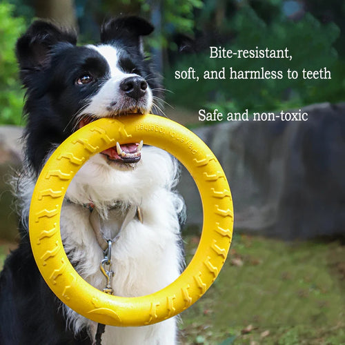 4-Piece Interactive Dog Toy Set