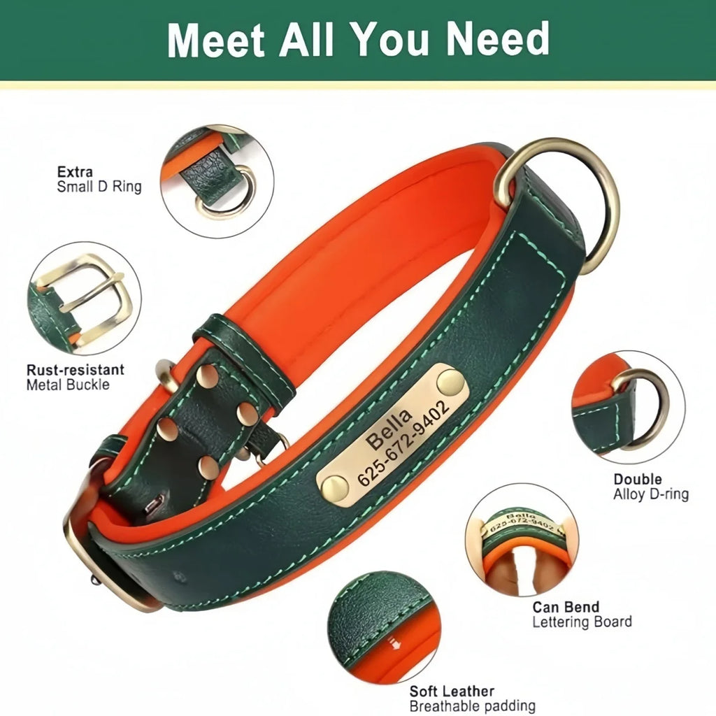 Personalised Leather Collar with ID Tag