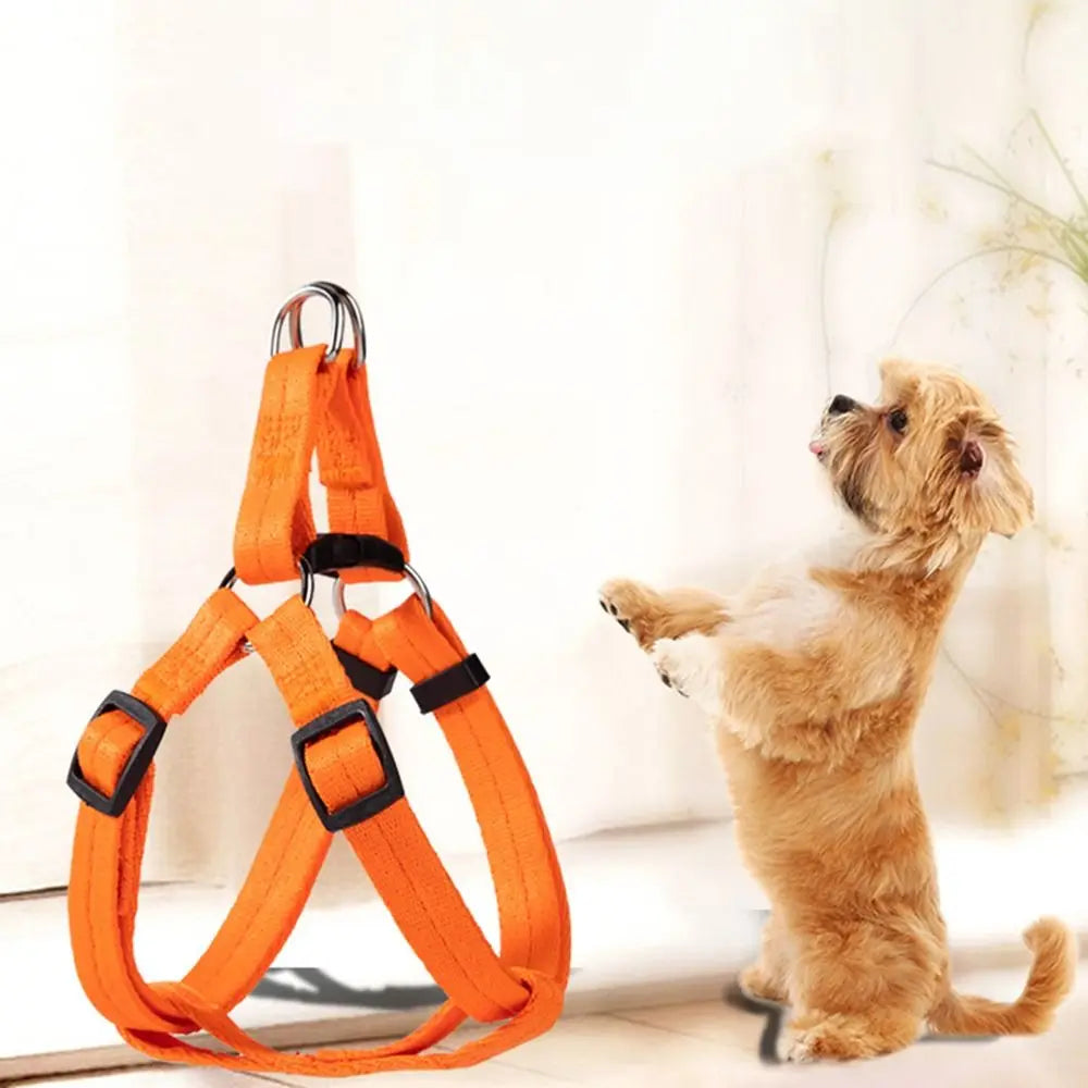 Adjustable Dog Harness