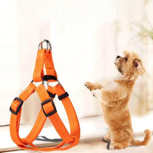 Adjustable Dog Harness