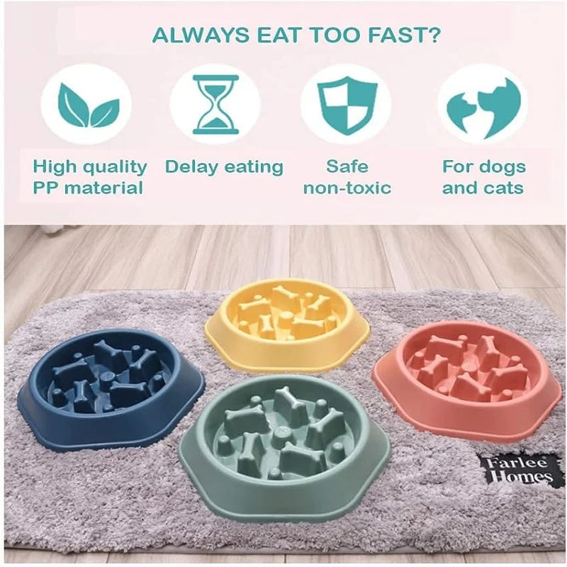 Slow Feeder Bowl
