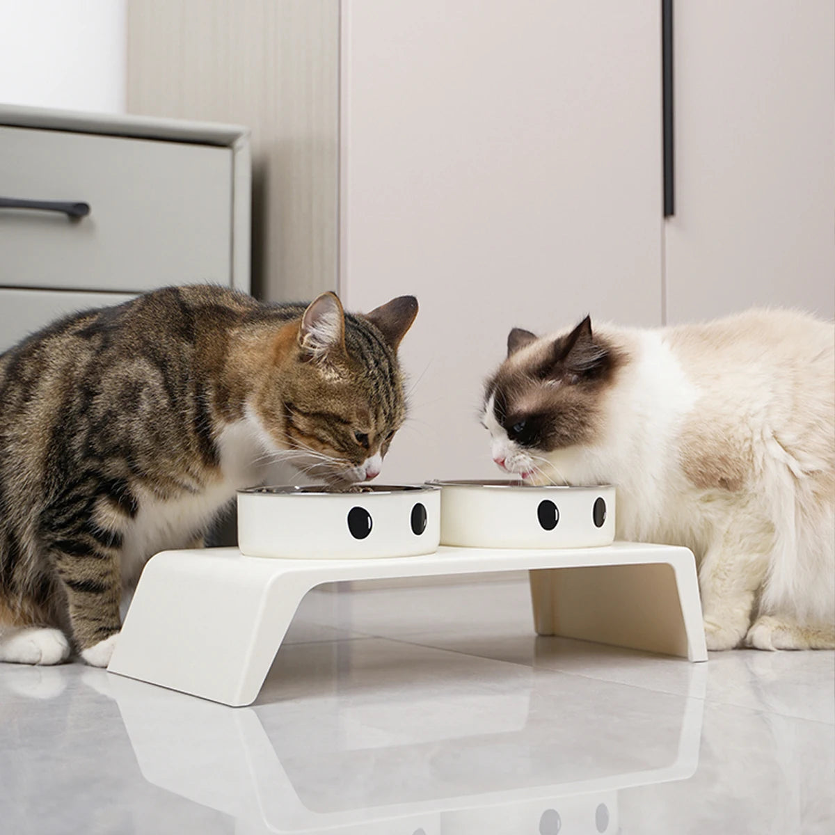 Raised Pet Food & Water Bowl Stand