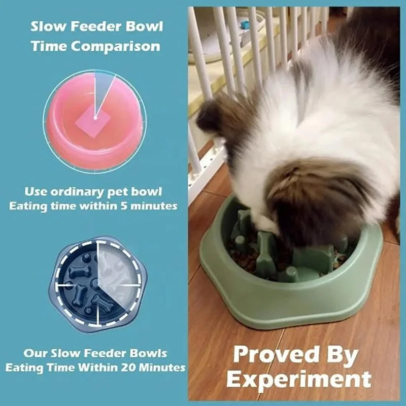 Slow Feeder Bowl