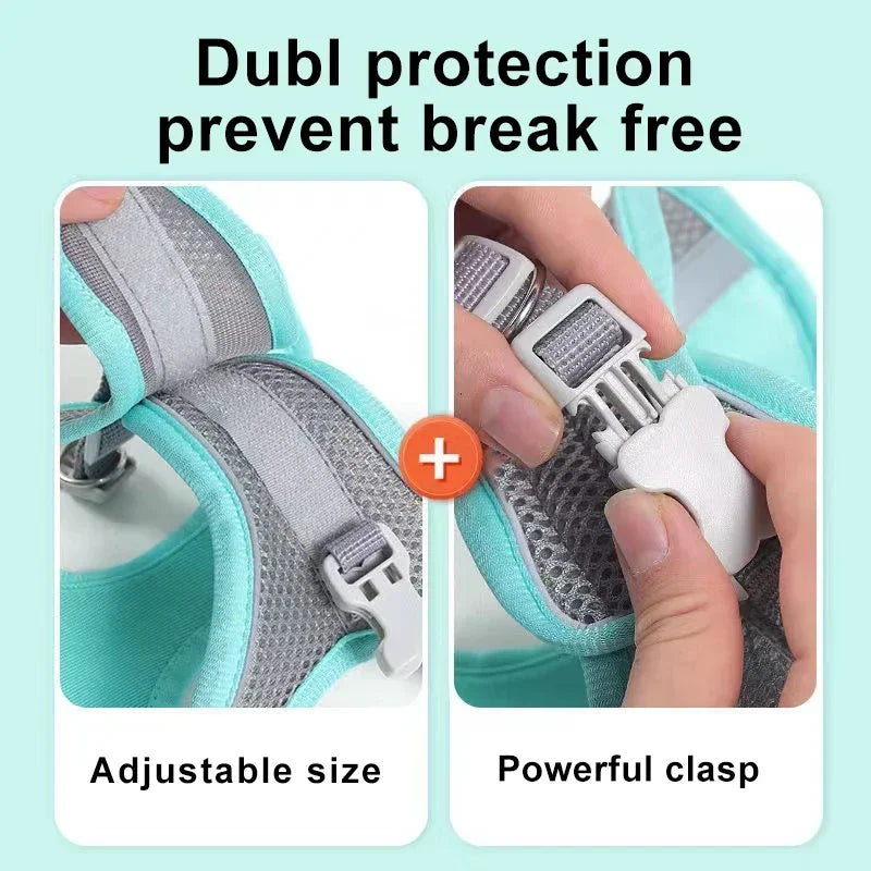 Small Dog Collar & Lead Set
