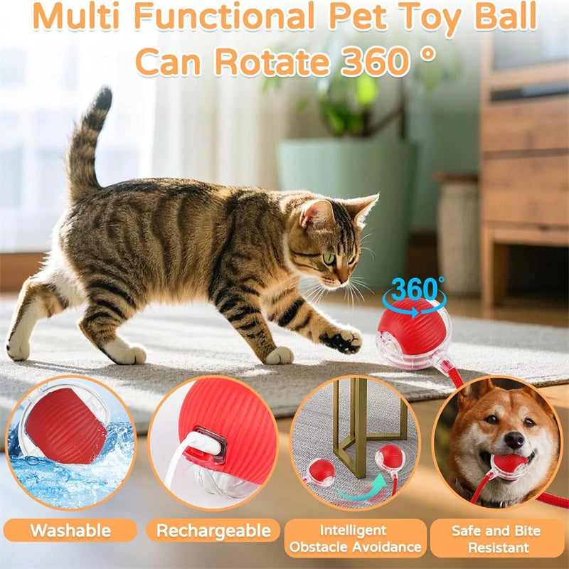 Interactive Electric Cat Ball
