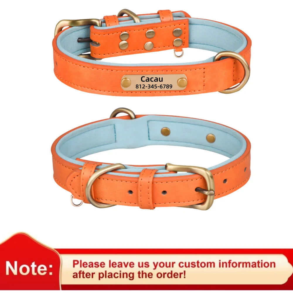 Personalised Leather Collar with ID Tag