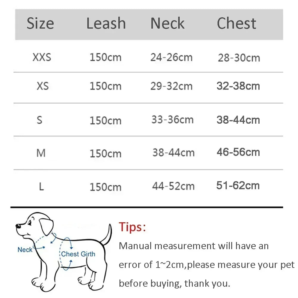 Small Dog Collar & Lead Set