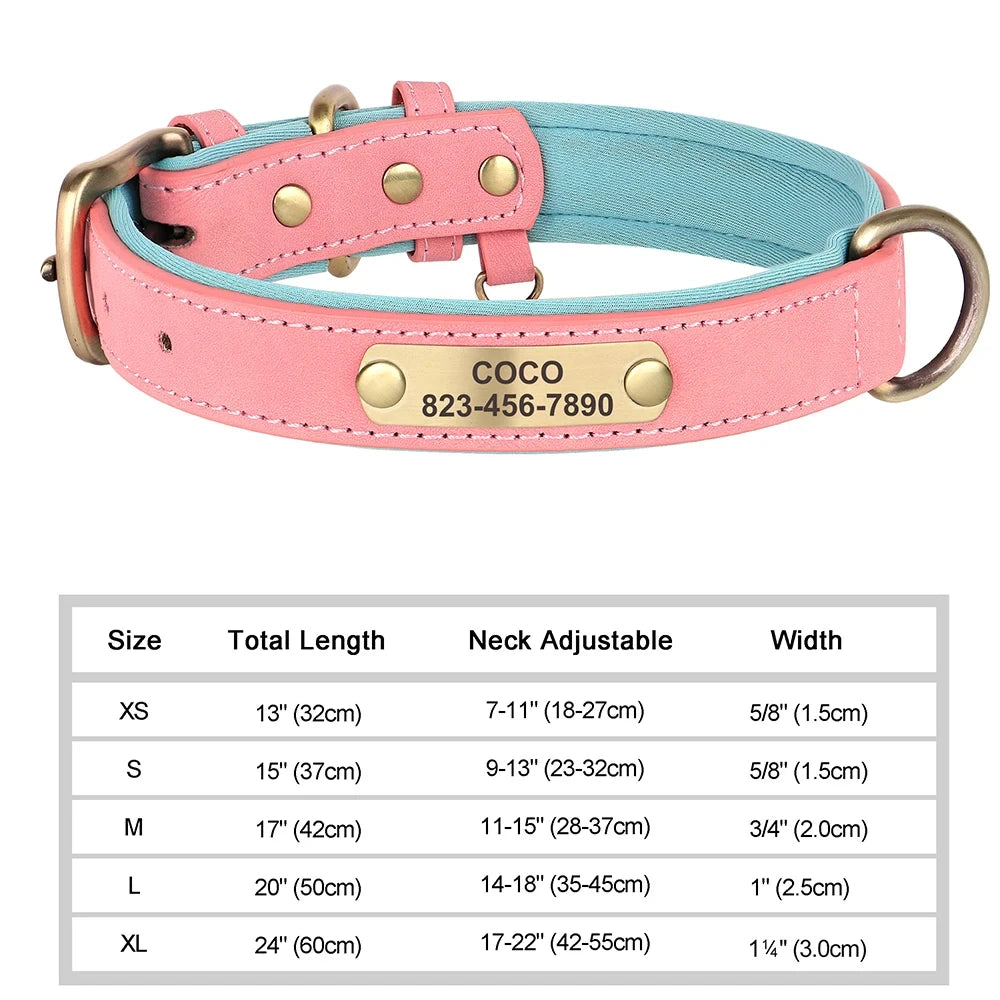 Personalised Leather Collar with ID Tag