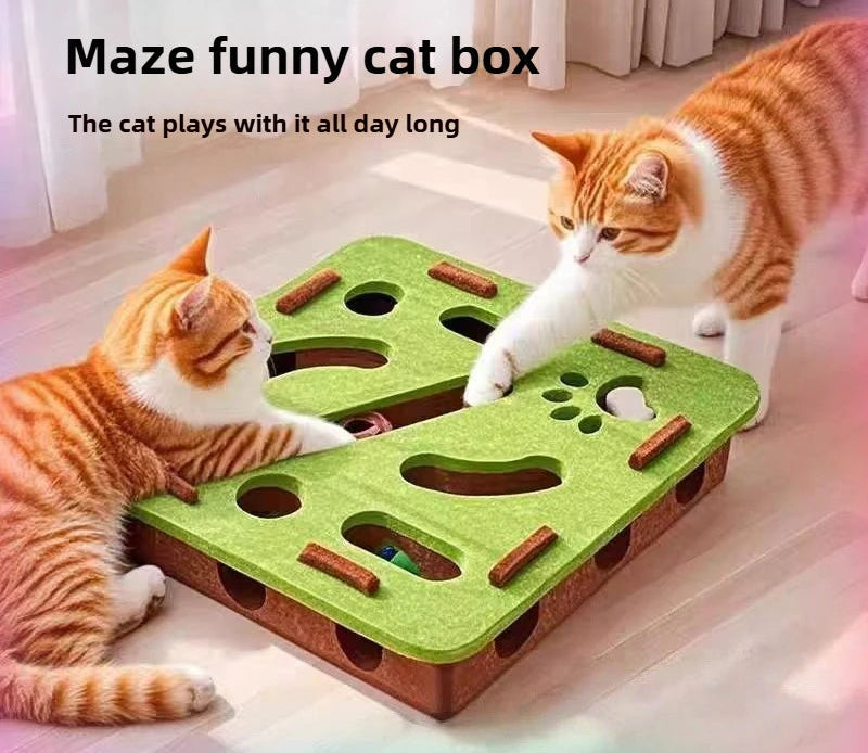 Interactive Cat Game