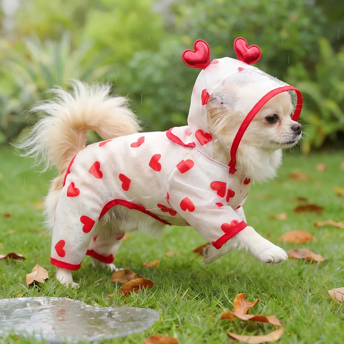 Waterproof Dog Raincoat with Hood