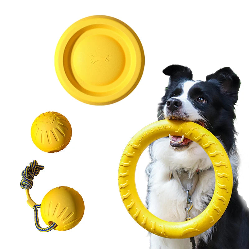 4-Piece Interactive Dog Toy Set