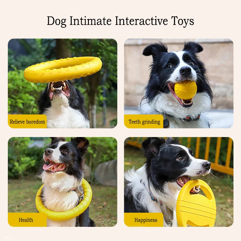 4-Piece Interactive Dog Toy Set